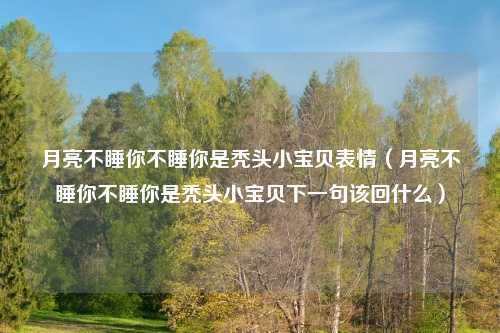 月亮不睡你不睡你是秃头小宝贝表情（月亮不睡你不睡你是秃头小宝贝下一句该回什么）