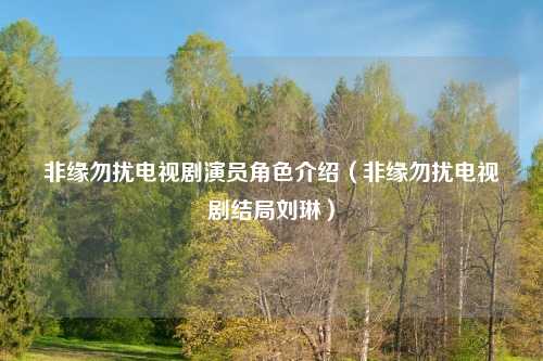 非缘勿扰电视剧演员角色介绍（非缘勿扰电视剧结局刘琳）
