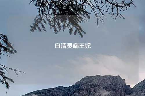 白清灵端王妃
