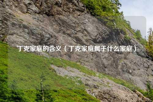 丁克家庭的含义（丁克家庭属于什么家庭）