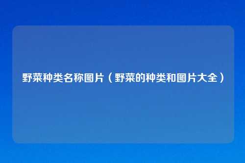 野菜种类名称图片（野菜的种类和图片大全）