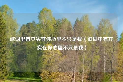 歌词里有其实在你心里不只是我（歌词中有其实在你心里不只是我）