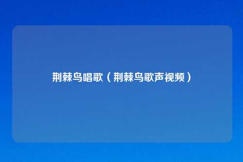荆棘鸟唱歌（荆棘鸟歌声视频）