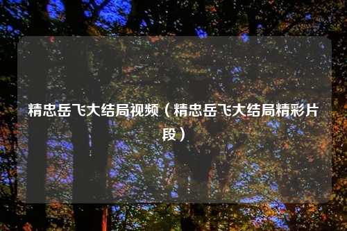 精忠岳飞大结局视频（精忠岳飞大结局精彩片段）