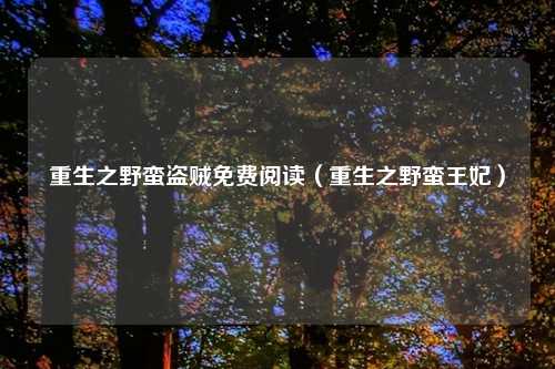 重生之野蛮盗贼免费阅读（重生之野蛮王妃）