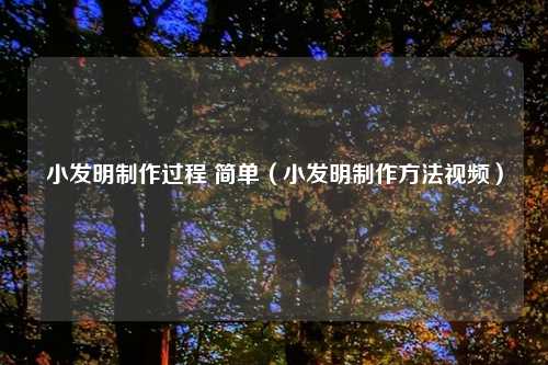 小发明制作过程 简单（小发明制作方法视频）