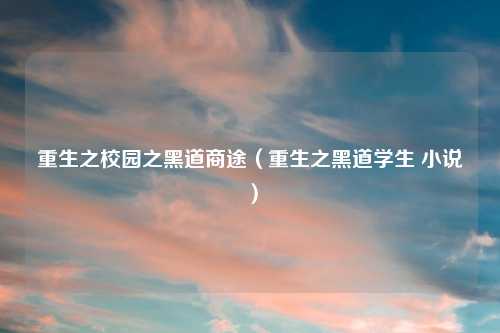 重生之校园之黑道商途（重生之黑道学生 小说）