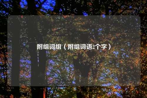 附组词组（附组词语2个字）