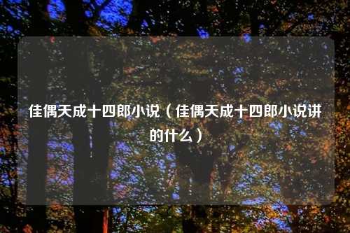 佳偶天成十四郎小说（佳偶天成十四郎小说讲的什么）