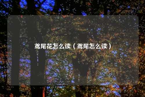 鸢尾花怎么读（鸢尾怎么读）