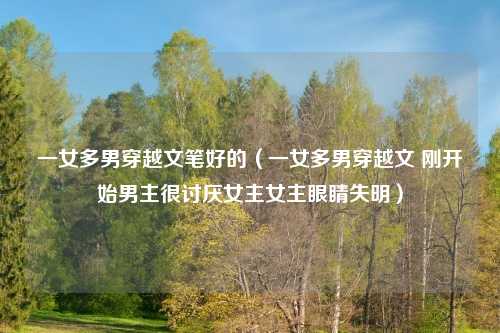 一女多男穿越文笔好的（一女多男穿越文 刚开始男主很讨厌女主女主眼睛失明）