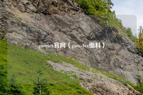 goretex官网（gore-tex面料）