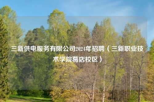 三新供电服务有限公司2024年招聘（三新职业技术学院葛店校区）