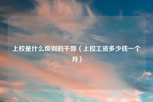 上校是什么级别的干部（上校工资多少钱一个月）