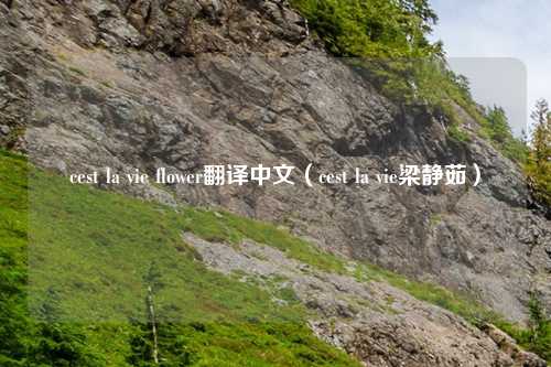 cest la vie flower翻译中文（cest la vie梁静茹）