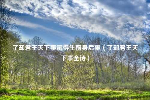 了却君王天下事赢得生前身后事（了却君王天下事全诗）