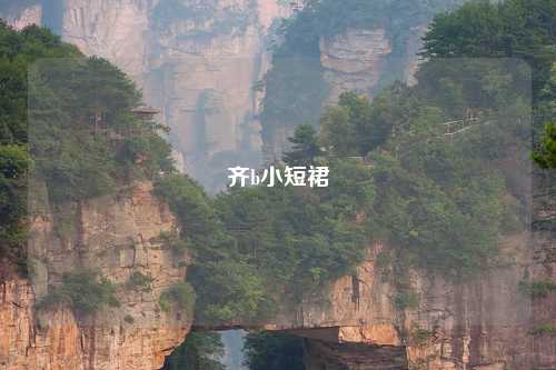齐b小短裙
