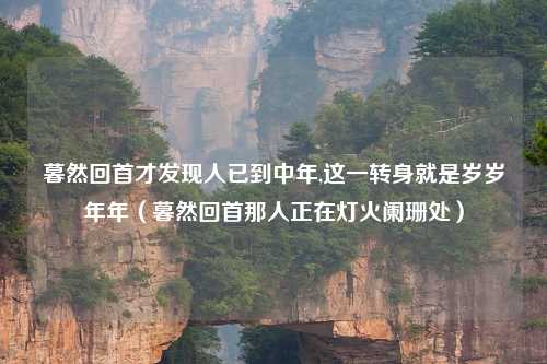 暮然回首才发现人已到中年,这一转身就是岁岁年年（暮然回首那人正在灯火阑珊处）