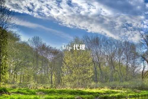 http 代理