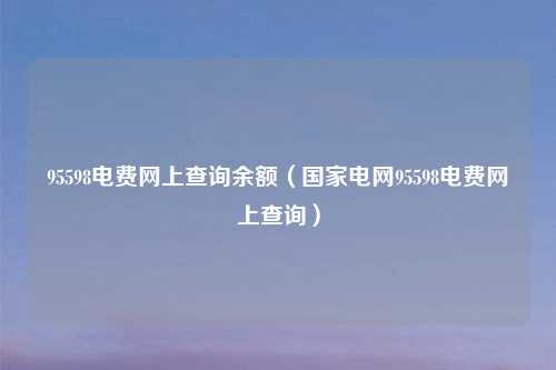 95598电费网上查询余额（国家电网95598电费网上查询）