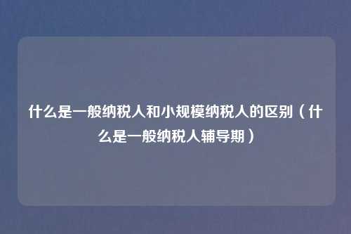 什么是一般纳税人和小规模纳税人的区别（什么是一般纳税人辅导期）