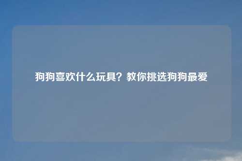 狗狗喜欢什么玩具？教你挑选狗狗最爱