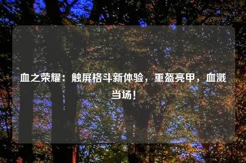 血之荣耀：触屏格斗新体验，重盔亮甲，血溅当场！