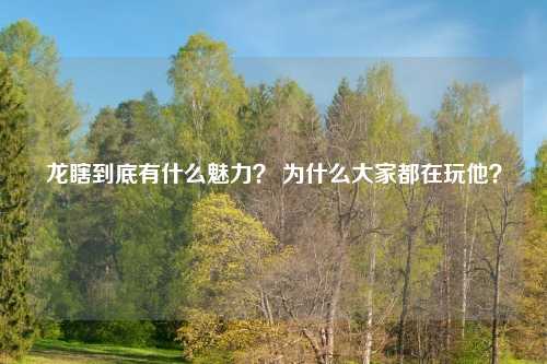 龙瞎到底有什么魅力？ 为什么大家都在玩他？