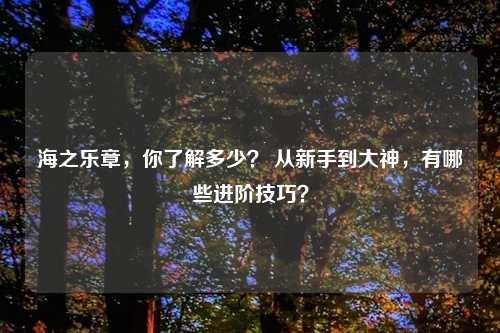 海之乐章，你了解多少？ 从新手到大神，有哪些进阶技巧？