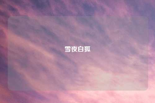 雪夜白狐