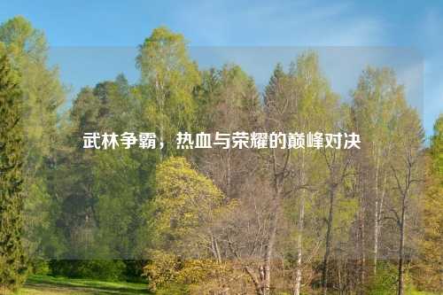 武林争霸，热血与荣耀的巅峰对决
