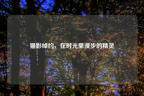 猫影绰约，在时光里漫步的精灵