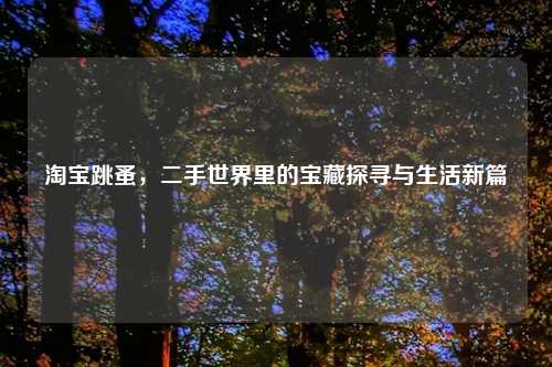淘宝跳蚤，二手世界里的宝藏探寻与生活新篇