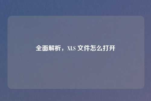 全面解析，XLS 文件怎么打开