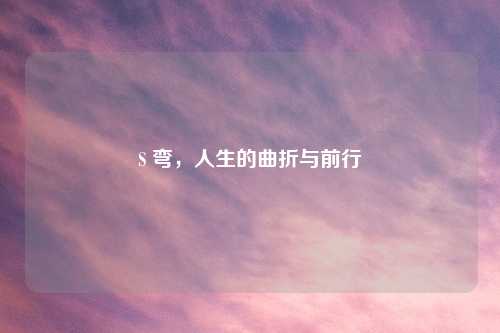 S 弯，人生的曲折与前行
