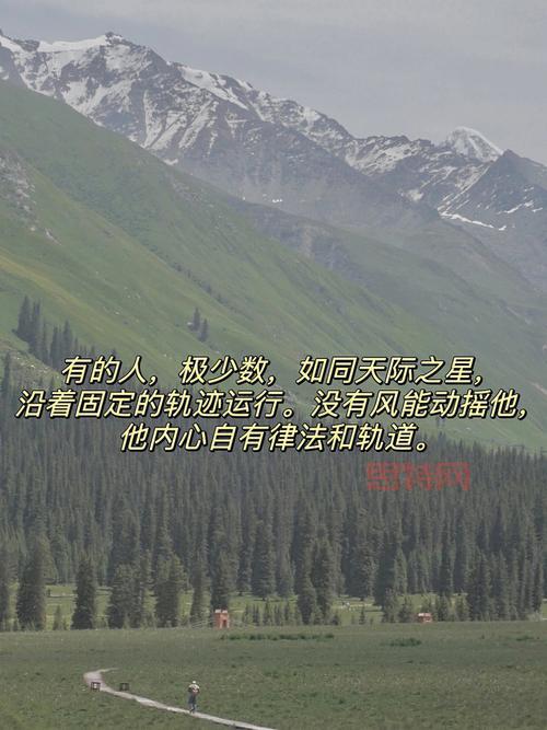 逗比人生：名字决定命运？揭秘文字人生的奇妙旅程！