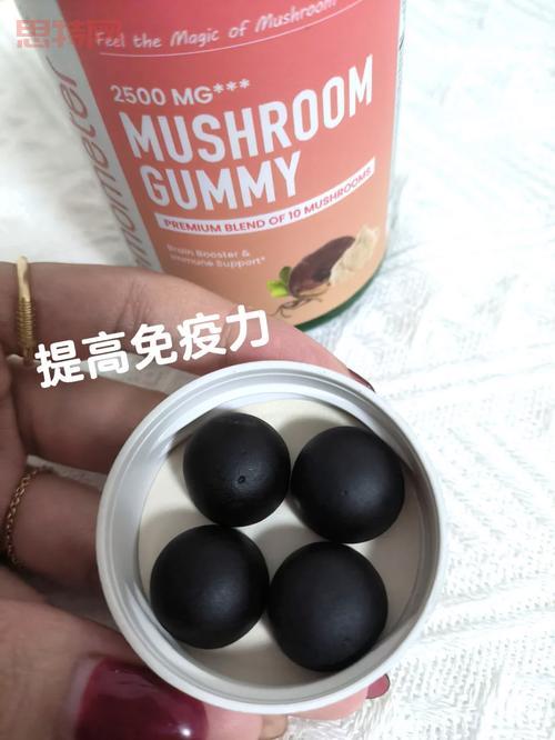 QQ精简版：轻巧便捷，聊天无负担！