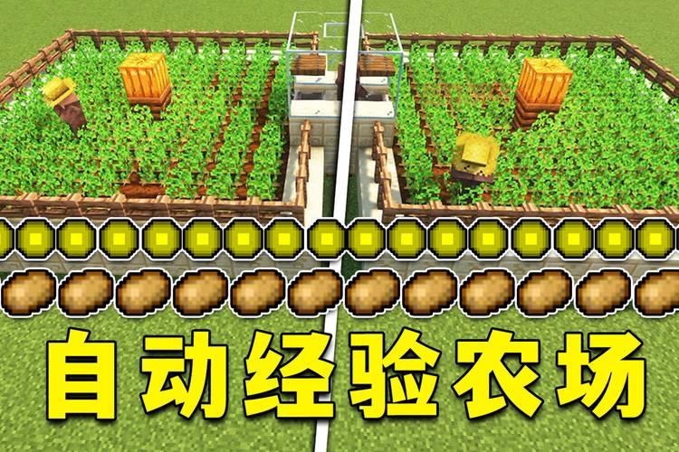 我的世界自动感应门制作教程：轻松打造智能家居