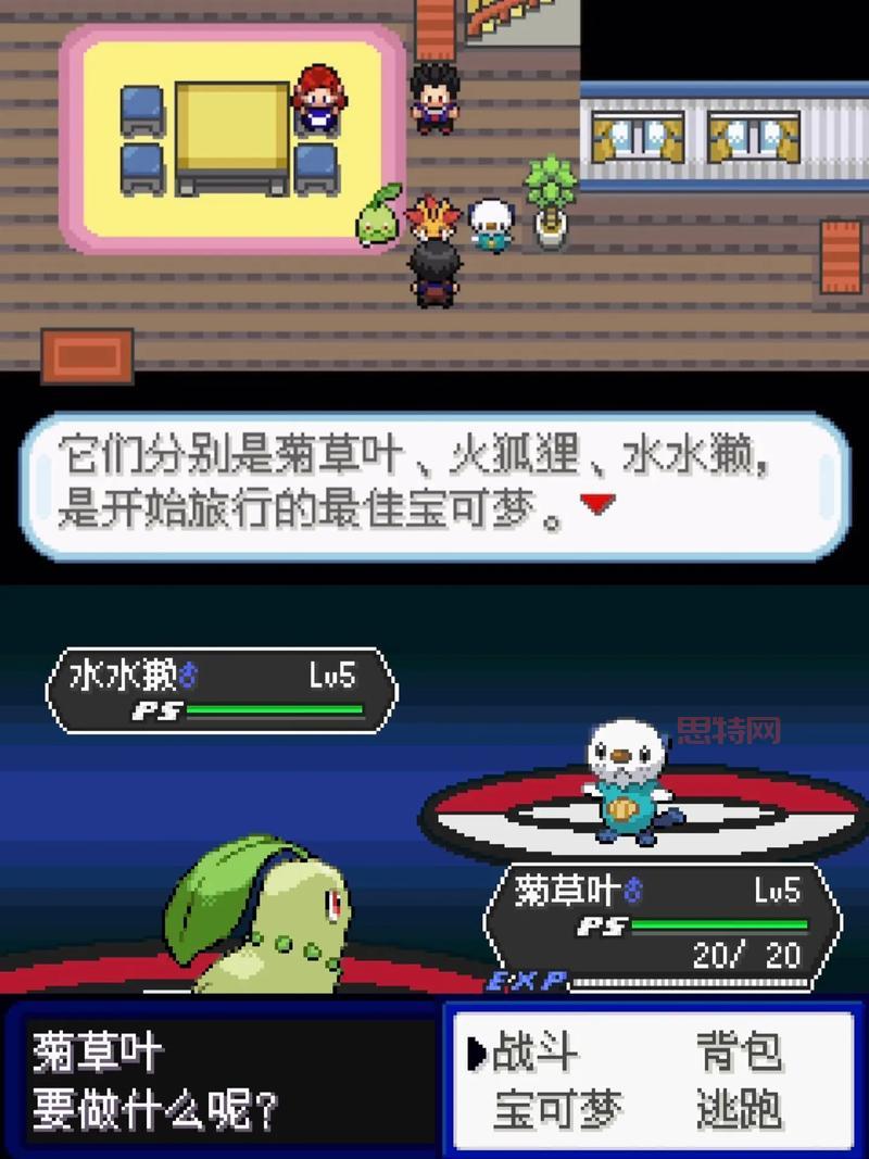 口袋海贼王电脑版模拟器推荐：畅玩无忧，完美适配