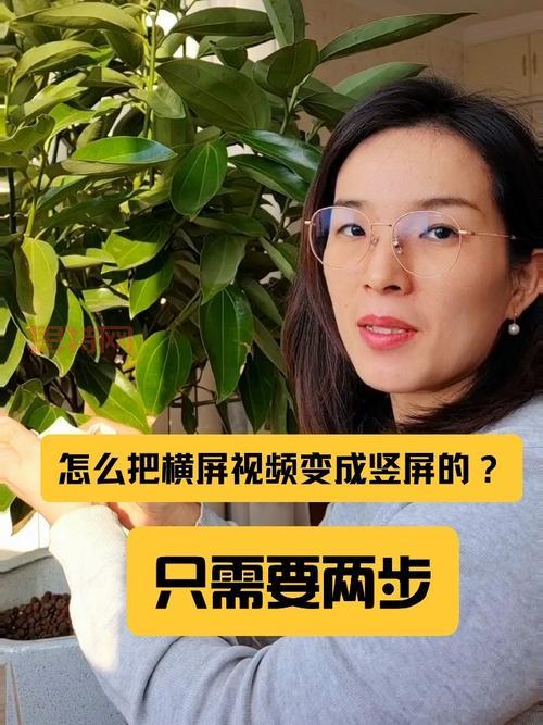 桔子视频：你的手机视频管理利器！