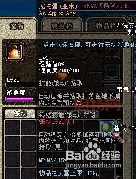 DNF宠物进化大揭秘：菲尼克斯是你的最佳选择？