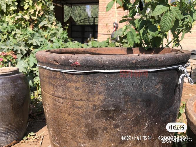 热管理器：从日常生活到工业应用的温度控制专家