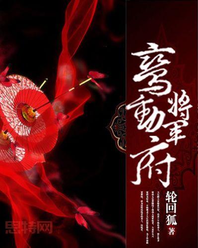 霹雳书坊：男频、女频、轻小说，总有一款适合你！