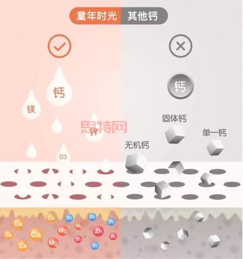 牛奶为什么补钙效果好？深入解析牛奶的高钙吸收力