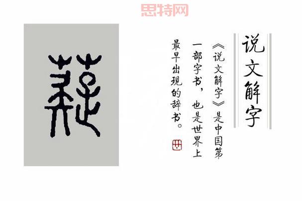 蕤怎么读？一文解析“蕤”的读音与文化背景