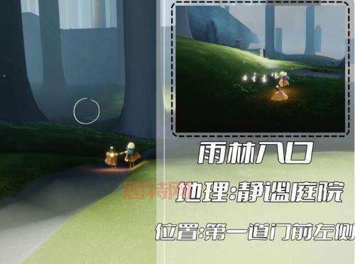 光遇密林遗迹冥想任务完成攻略与技巧