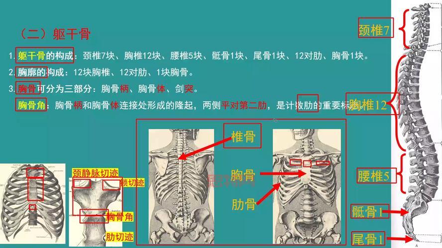 英文角名速记：一分钟学会12种常见角的英文