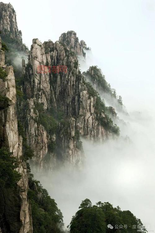 小游戏让子弹飞：刺激射击，挑战你的反应极限！