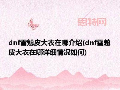 如何在DNF中获得雪魈皮大衣？顶级玩家攻略分享