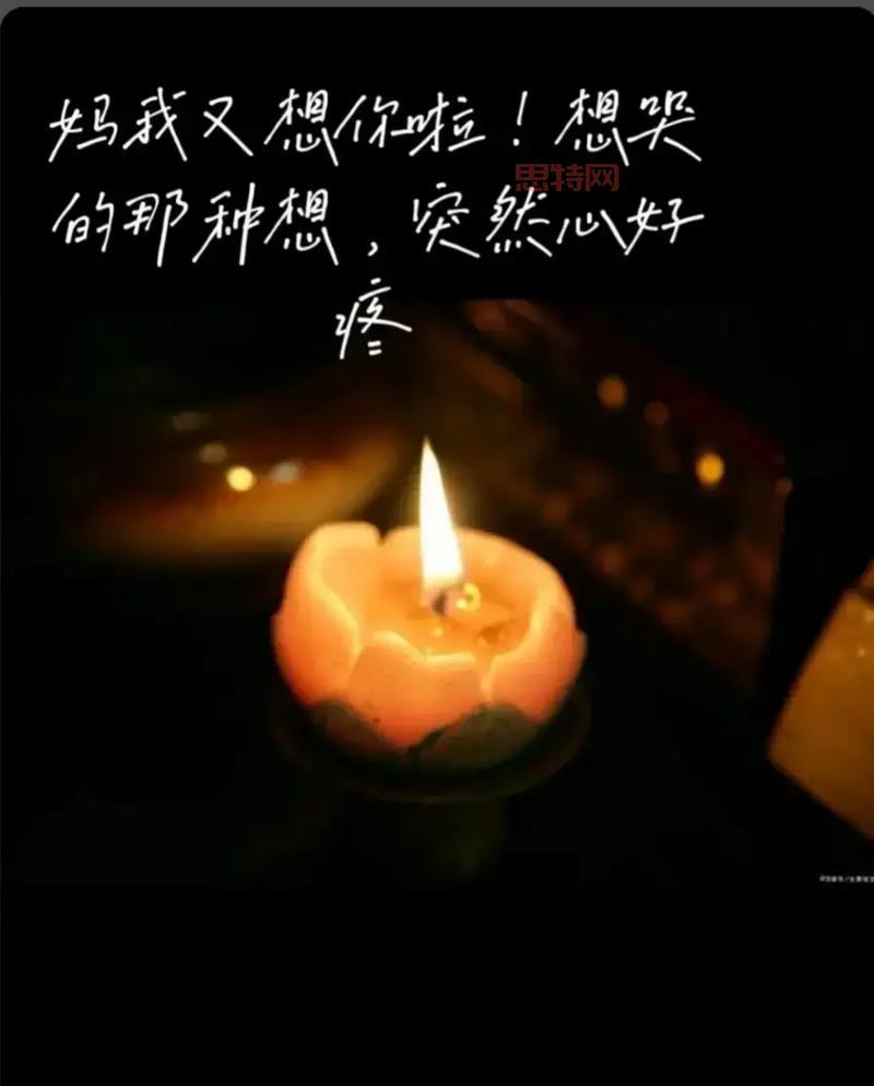 亚洲片天堂无：揭秘亚洲电影的无尽魅力与经典时刻